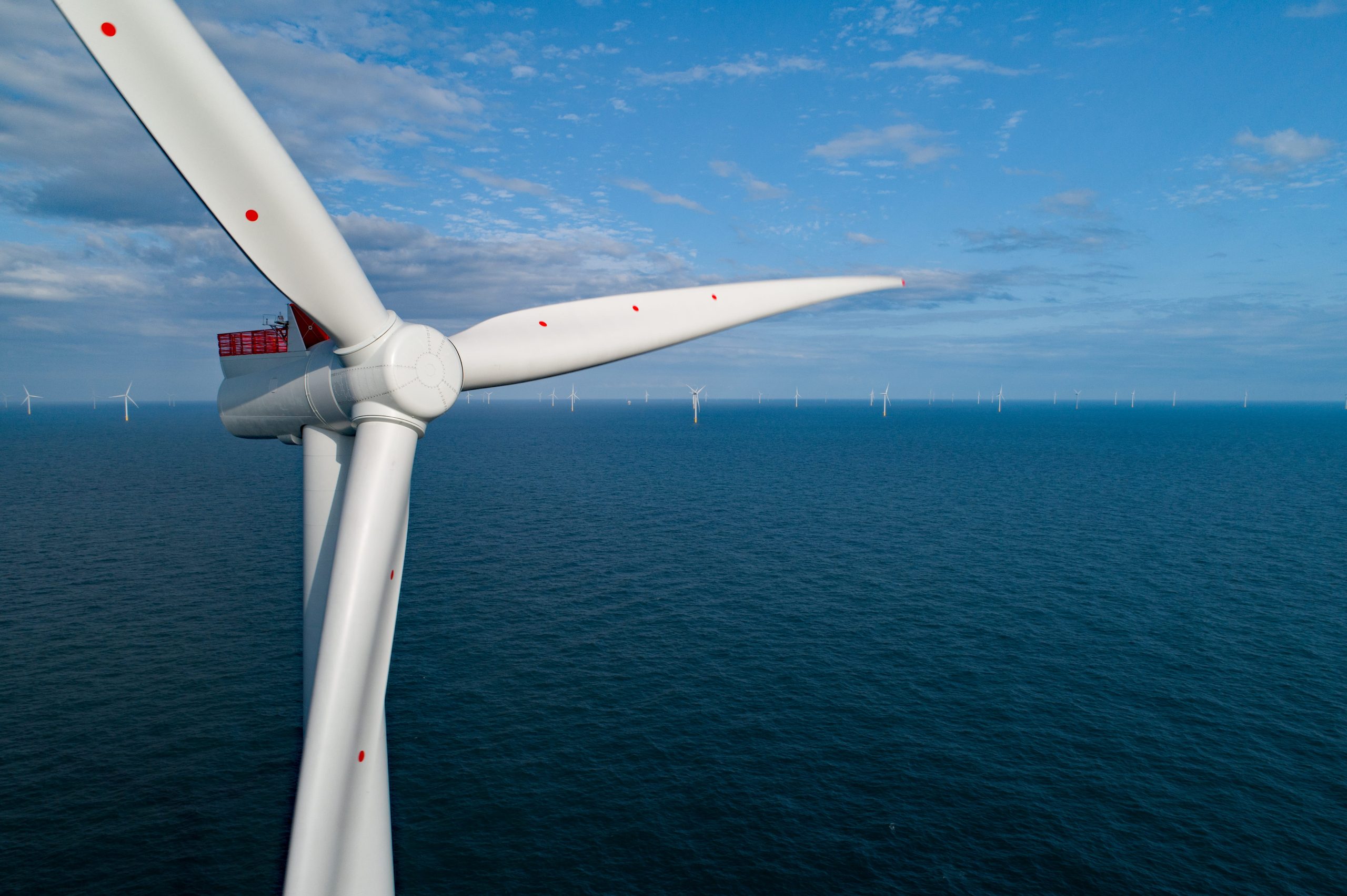 TRIG acquires stake in world’s largest operational offshore wind farm